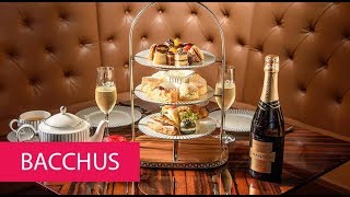 Information BACCHUS - AUSTRALIA, BRISBANE News