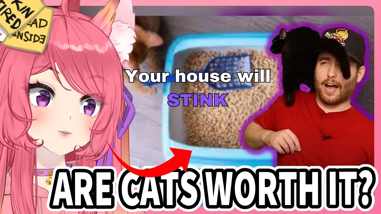 In Defense Of Cats | Kitsu reacts to Big Tugg | Vtuber Reacts