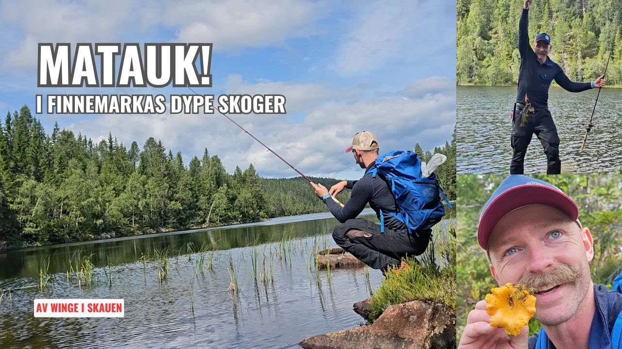 Jakten på skogens gull!