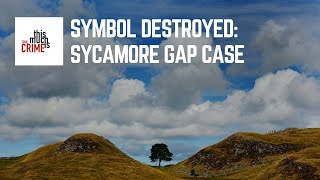 Episode 5: Sycamore Morons