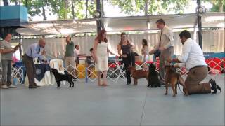 Yon-Zee - Bkc 16112013 - Cle Jovem - Macho - 2