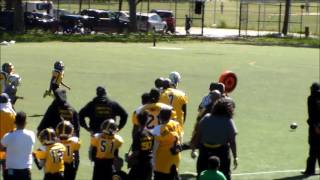 2016 NYCYFL Jr Pee Wees Brooklyn Panthers vs Bayside Raiders