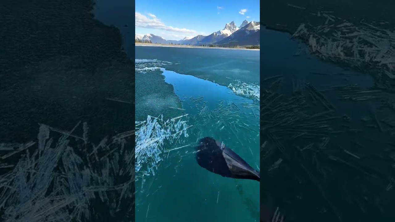 That cracks was wild 