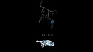101A - Aerial