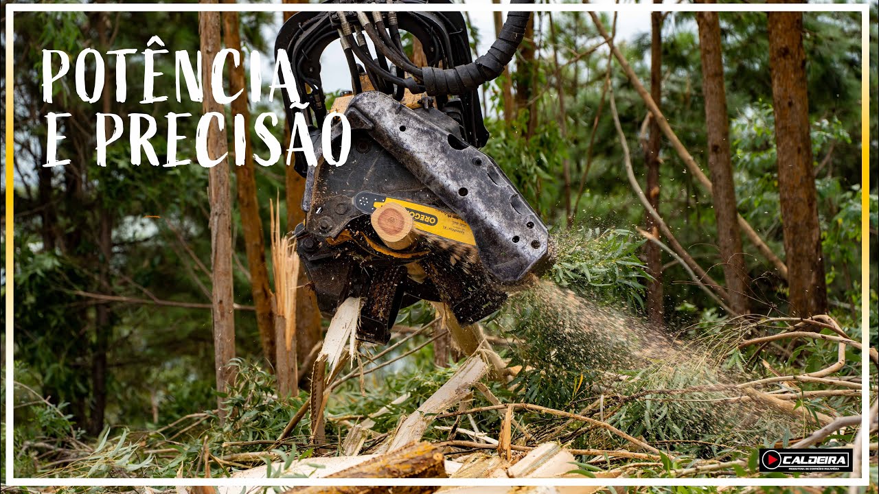 Oregon SpeedMax™ XL em cartaz na Revista Referência