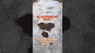 Say Goodbye to Gophers: Protect Your Landscape Investment🐿️👋🌱