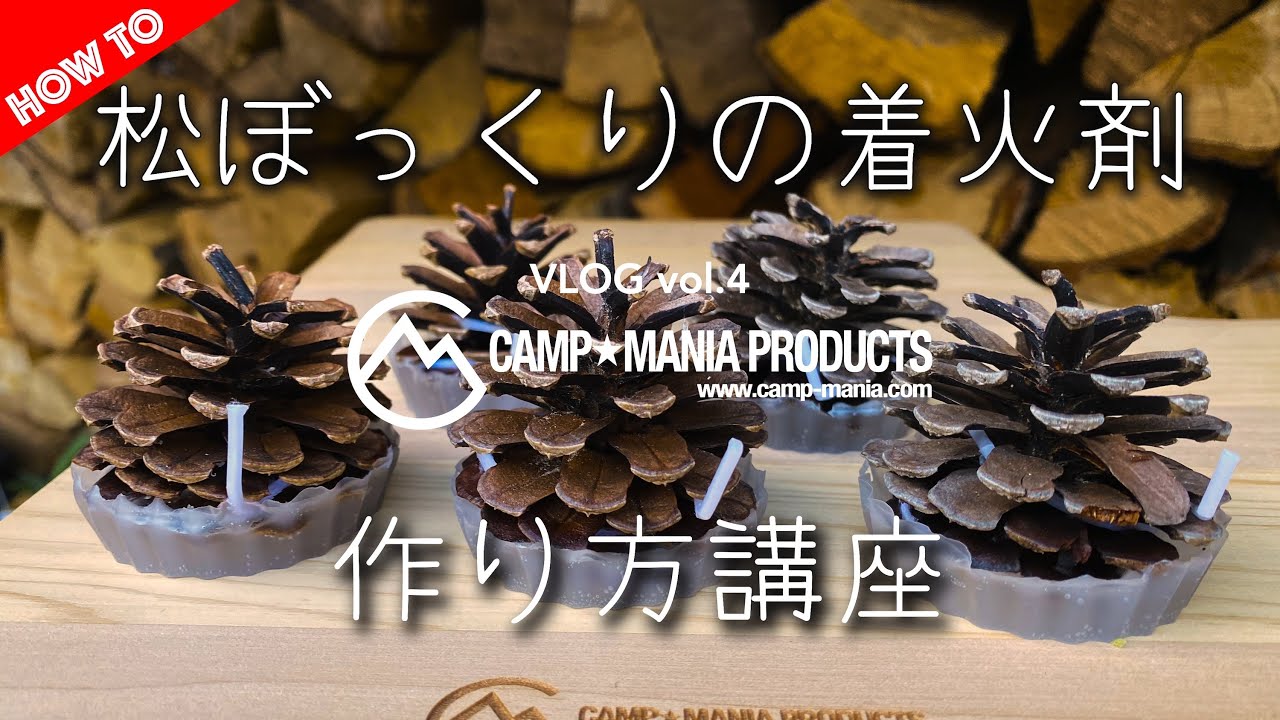 まつぼっくり　おまとめ3点 まつぼっくり 特大 || 通販・販売