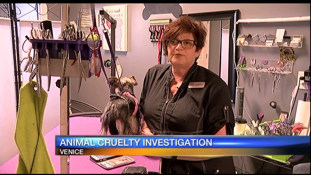 PetSmart groomer fired after viral video surfaces