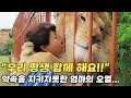 서커스에서 구한 사자를 17년간 키웠던 엄마, 재회의 순간 오열한 이유