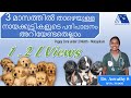 Puppy Care below 3 Months - Malayalam | Dr. Aswathy | Dog Care 1 | Anything About Animals