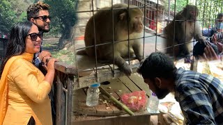 Viral Monkey Giving Blessings//Hanumaanko arko rup//Himesh Megha Official