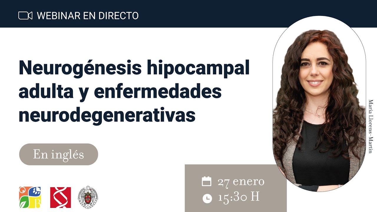 Neurogénesis hipocampal adulta y enfermedades neurodegenerativas