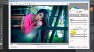 Camera Tutorial How to Change  Fresh Color - Camera Raw Tutorial Vintage Look Color Effects screenshot 5