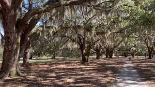 Walking towards Hofwyl-Broadfield Plantation, GA