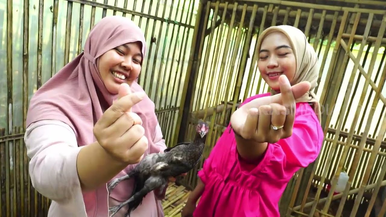 Cuan Mantul Dari Bisnis Ayam Sentul | CUAN BOSS (24/11/24)