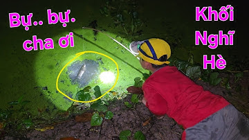 Cắm câu đêm bằng 20k dế. Dính cá cha con la làng trên vườn | Săn bắt SÓC TRĂNG |