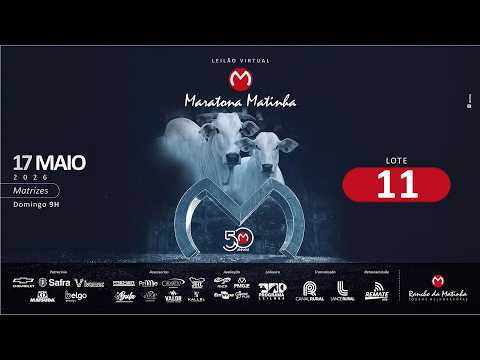 LOTE 11