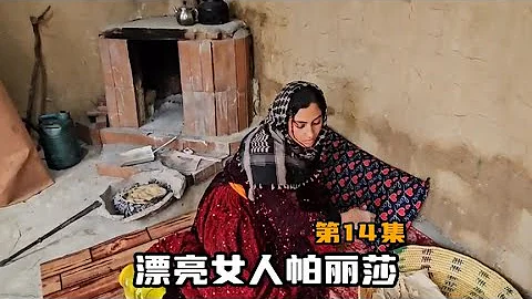 帕丽莎行踪透露，在与奇巴的争斗中被奇巴打伤，哈桑愤怒 - 天天要闻