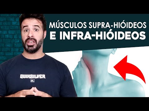 Vídeo: Qual estrutura fica abaixo do músculo milo-hióideo?