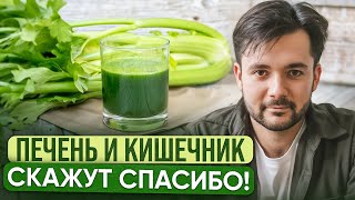 картинка: Лучшее РАСТЕНИЕ для ПЕЧЕНИ, КИШЕЧНИКА, КОЖИ и ИММУНИТЕТА! В чем ГЛАВНАЯ ПОЛЬЗА СОКА СЕЛЬДЕРЕЯ?