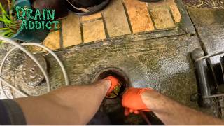 Blocked Drain 1211