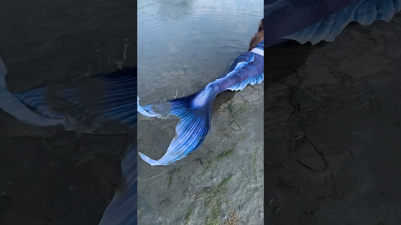 Found a mermaid at the beach! 😱 