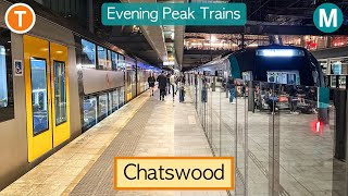 Transport for Sydney Vlog 1005: Chatswood Part 7 - Evening Peak Metro & Trains