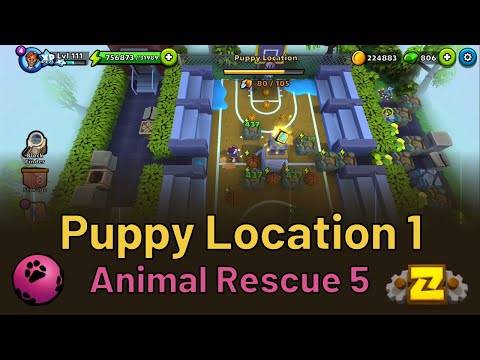 Puppy Location 1 - Animal Rescue 5 - Puzzle Adventure