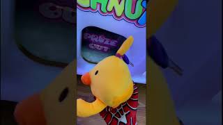 Cat Vs. Iphone Would You Save It?