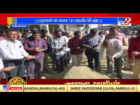 Farmers happy after getting good rates of Jeera(Cumin Seeds) at Unjha APMC | TV9News