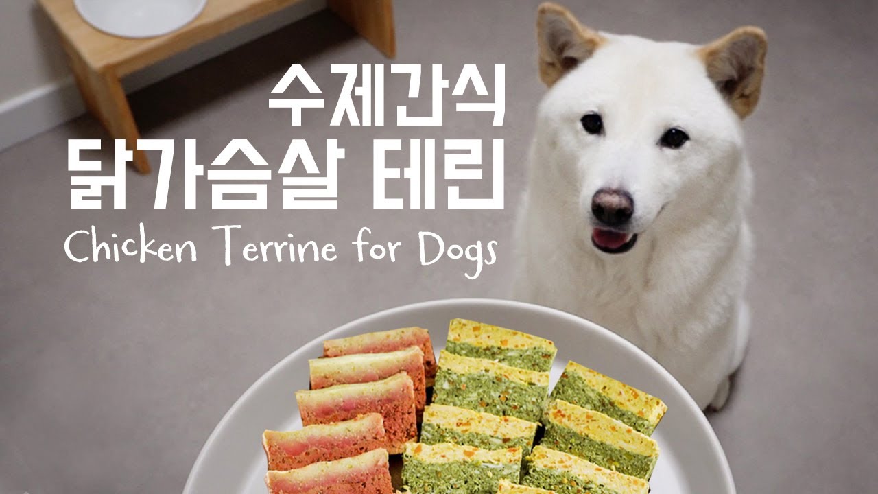 닭가슴살 테린 ㅣ건강한 수제간식 만들기ㅣ 진돗개 간식 ㅣChicken Terrine for Dogs