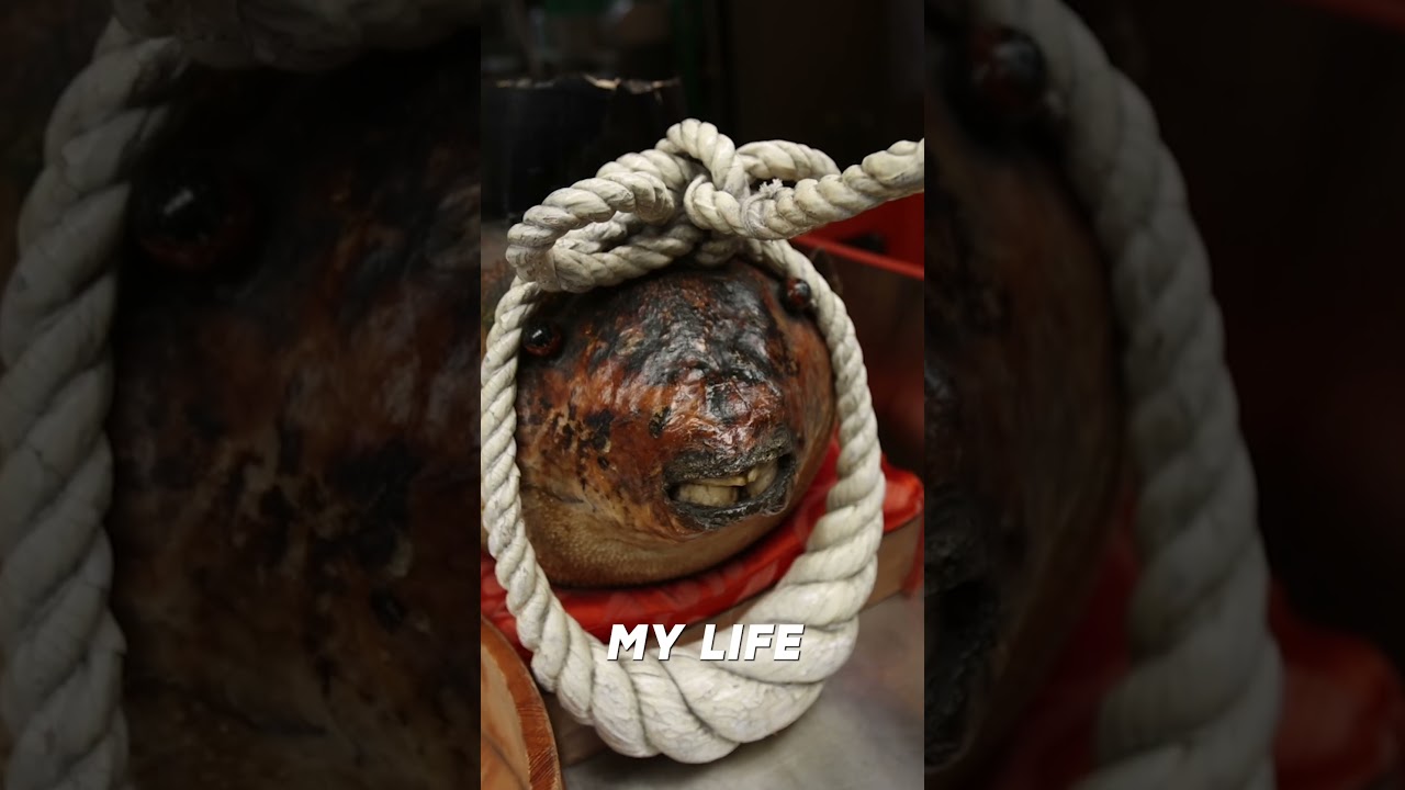 JAPAN FOOD VLOG - OASKA FISH MARKET