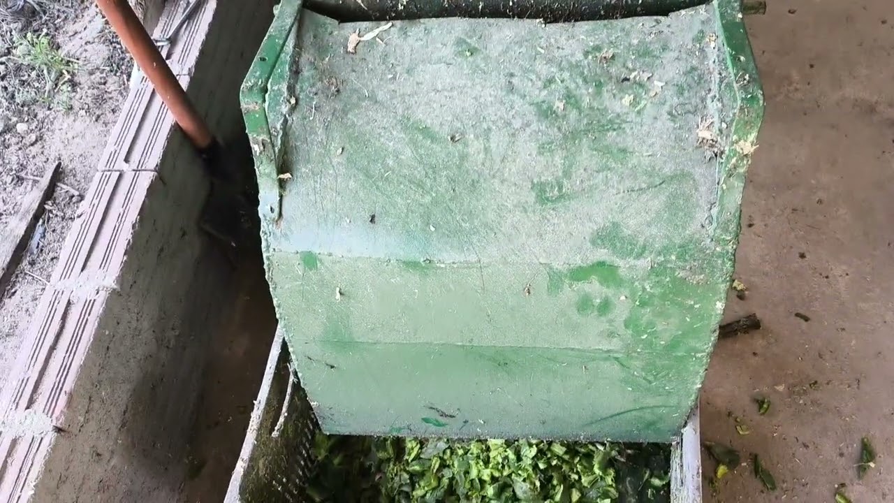 máquina de picotar palma com mais facas.