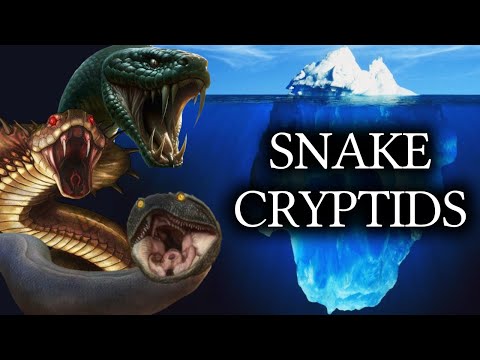 The Mysterious Venomous Dolly Leak Explained