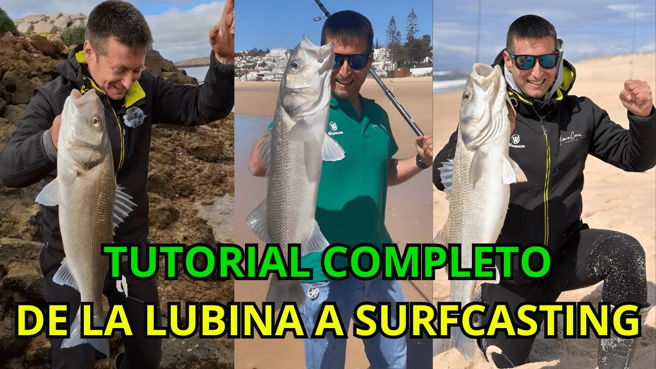TUTORIAL COMPLETO DE LA LUBINA A SURFCASTING