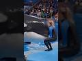 Jessica Radcliffe Orca Ttack Video Jessica Dolphin Shorts 