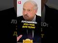 Лукашенко раскритиковал работу в сельском хозяйстве лукашенко политика новости беларусь батька Лукашенко раскритиковал работу в сельском хозяйстве лукашенко политика новости беларусь батька