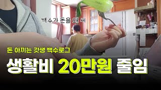 생활비 20만원 줄인 30대 퇴사 후 일상