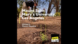 Pando Days 24/25 Premiere Presentation: Mount Saint Marys University of Los Angeles