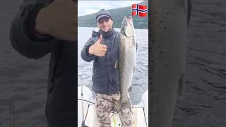 fishing in Norway #fishing #рыбалка #норвегия #seafishing #norwayfishing #norway #shortsvideo #рыба