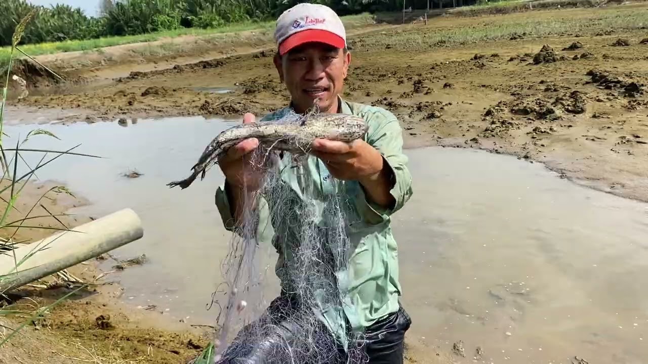 Thả 3 vị trí, mà vị trí thứ 3 cá dính trắng lưới luôn cả nhà 🇻🇳🇻🇳🇻🇳🇻🇳🇻🇳