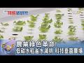 農業綠色革命! 低碳水稻省水減排 科技垂直農場｜FOCUS午間新聞 20260519 @tvbsfocus