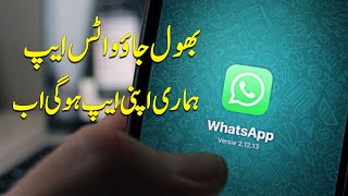 Pakistani Whatsapp Alternative App | official statement screenshot 2