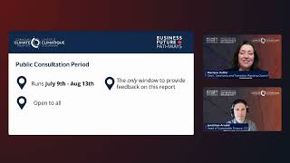 Pre-consultation webinar
