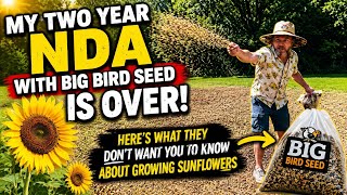 What Big Bird Seed Doesn’t Want You to Know About Growing Sunflowers! Chaos gardening style! 🙌🫘🌻 