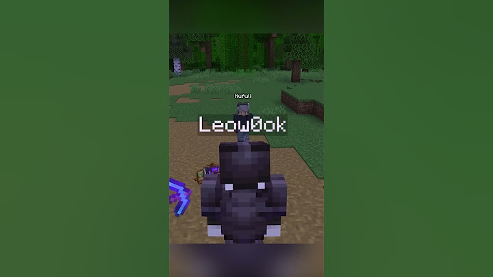 I Got Hunted by a Minecraft Hacker Part 17