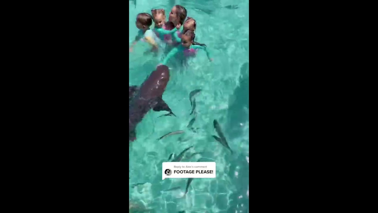 A Little Girl Got Bitten By Shark