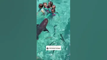 A Little Girl Got Bitten By A Shark 