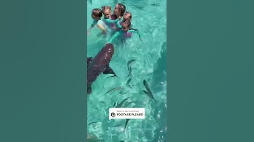 Thumbnail of A little girl got bitten by a shark