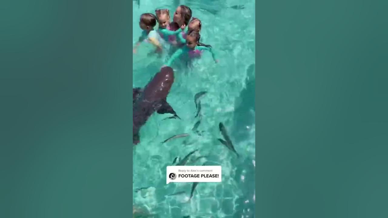 A little girl got bitten by a shark